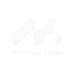 Photo of a man in a room using a tablet computer